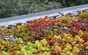 the cost of Balnabruach green roof installation