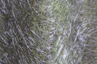 Balnabruach fibreglass roof work